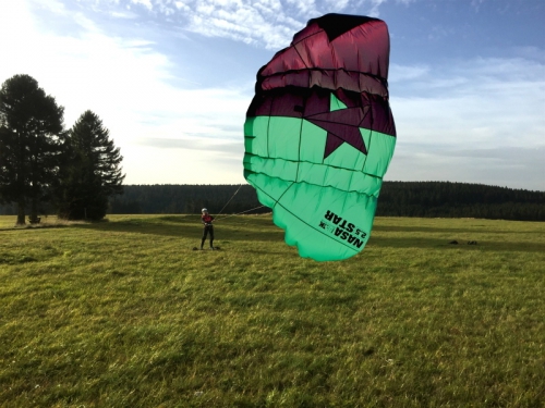 2.5sqm NASA STAR -5- (kite only)